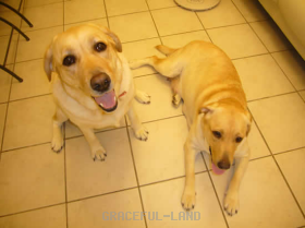 私も甘えた~い。ちょっと休憩